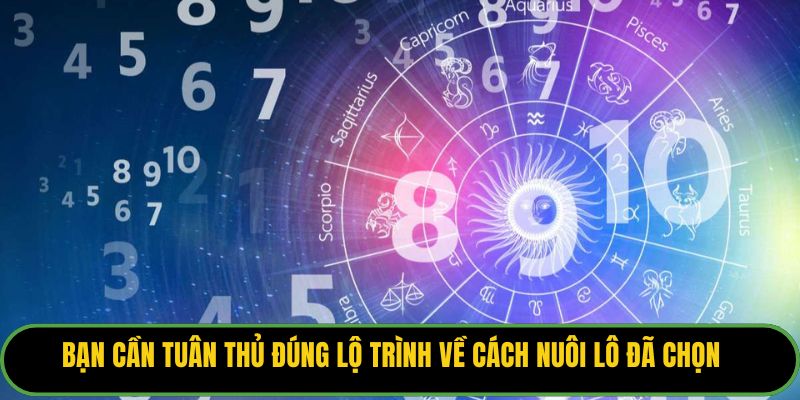 Bạn cần tuân thủ đúng lộ trình về cách nuôi lô đã chọn