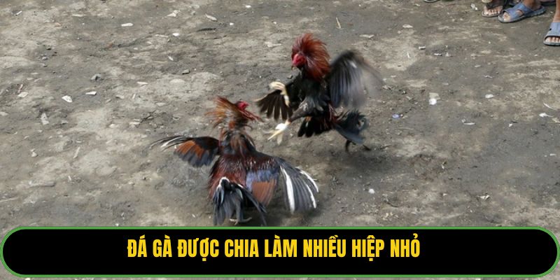 Đá gà được chia làm nhiều hiệp nhỏ