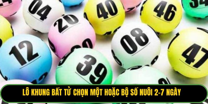 Lô khung bất tử chọn một hoặc bộ số nuôi 2-7 ngày