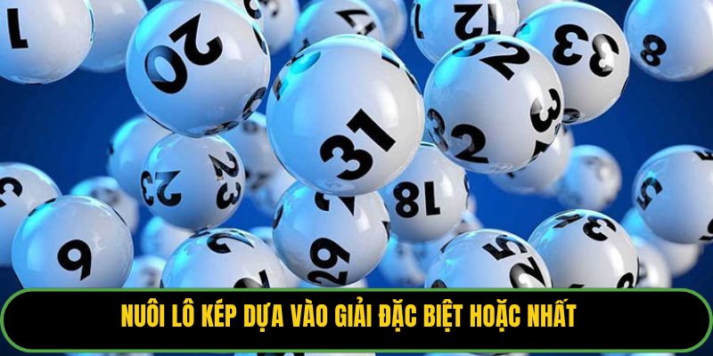 Nuôi lô kép dựa vào giải đặc biệt hoặc nhất