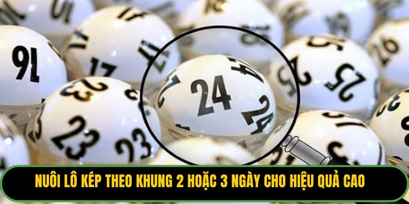 Nuôi lô kép theo khung 2 hoặc 3 ngày cho hiệu quả cao